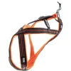 Image de Harnais Pour Chien X-Back One Sports, Canicross, Loisirs Outdoor, Orange