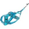 Image de Harnais Chien Phoenix Alm Sports Et Loisirs Avec Son Chien, Canicross, Canitrail, Canivtt, Bleu