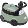 Image de Pot Voiture Vert Sauge