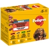 Image de Multipack Pedigree Senior pour chien - sélection variée en gelée (4 variétés) 12 x 100 g