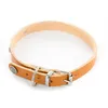 Image de Collier Pour Chien RivetÃ© 25mmx60cm Naturel