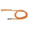 Image de Laisse Rond Nylon Pour Chien Martin Sellier