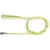 Image de Laisse Pour Chien Longue Nylon Rond Martin Sellier 5 M Mixte Vert