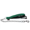 Image de Laisse ChaÃ®ne TrÃ¨s Forte - 60 Cm - Vert