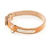 Image de Collier Pour Chien En Cuir Avec Plaque Martin Sellier 22/47 Cm Mixte Beige