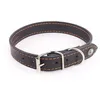 Image de Collier Pour Chien Martin Sellier Flash 62 Cm Mixte Noir