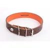 Image de Collier Pour Chien Martin Sellier Allure 30 Cm Mixte Marron
