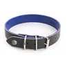 Image de Collier Pour Chien Martin Sellier Allure 30 Cm Mixte Vert