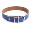 Image de Collier Pour Chien Martin Sellier Allure 35 Cm Mixte Bleu