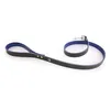 Image de Laisse Pour Chien Martin Sellier Allure T100 Tu Mixte Vert