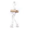 Image de Jouet Pour Chien Bois Corde PoignÃ©e 2 Cores Martin Sellier Expresso Tu Mixte Beige