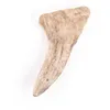 Image de Jouet Pour Chien Bois De Daim Martin Sellier M Mixte Beige