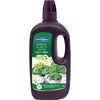 Image de Fertiligene Engrais Plantes Vertes - 1 L