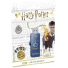 Image de DEXXON EMTEC Harry Potter M730 Ravenclaw - Clé USB - 32 Go - USB 2.0
