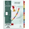 Image de Exacompta Exacompta Jeu D'intercalaire Numérique 12 Positions En Carte Blanche 170g, Onglets Mylar®. Format A4+.