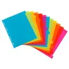 Image de Lot de 12 intercalaires A4 maxi pour classeur maxi ou classeur à levier Viquel Multicolore