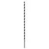 Image de MÃ¨che Ã  bois industrielle, pointe M 8 x 400 mm, d 8 mm 1pc