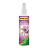 Image de Hydratant orchidées Algoflash 250ml