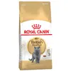 Image de 4kg British Shorthair Royal Canin pour chat