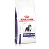 Image de 12kg Royal Canin Expert Neutered Junior Large Dogs - Croquettes pour chien