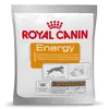 Image de 50g Energy Royal Canin pour chien