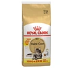 Image de 10kg Maine Coon Adult Royal Canin Croquettes pour chat + 2kg offerts !
