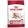 Image de Royal Canin Medium Ageing 10+ pour chien - 3 kg