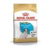 Image de Royal Canin Jack Russell Puppy pour chiot - 3 kg