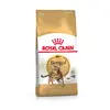 Image de 10kg Bengal Adult Royal Canin pour chat