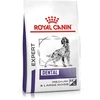 Image de Royal Canin Expert Dental Medium & Large Dog pour chien - 13 kg