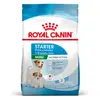 Image de 4kg Royal Canin Mini Starter Mother & Babydog - Croquettes pour chien
