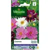 Image de Vilmorin 5248142 Pack De Graines Cosmos Psyché Varié