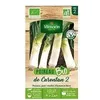 Image de Poireau De Carentan 2 Bio Vilmorin