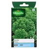 Image de Vilmorin Graines De Basilic Variété "Pistou" Vilmorin Semis De Mars À Mai