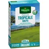 Image de Gazon Pelouse Tropicale Kikuyu Vilmorin 500g