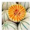 Image de Melon Charentais Bio Vilmorin