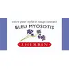 Image de Herbin - Encre Traditionnelle à stylo en Flacon "D" 30ml - Bleu Myosotis