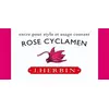 Image de Herbin - Encre Traditionnelle à stylo en Flacon "D" 30ml - Rose cyclamen