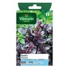 Image de Vilmorin Graines De Basilic Variété "Pourpre" Vilmorin Semis De Mars À Mai