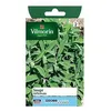 Image de Graines De Sauge VariÃ©tÃ© "Officinale" Vilmorin Semis De Mars Ã Juillet