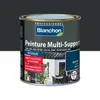 Image de Peinture multi-supports application extÃ©rieur Gris anthracite RAL 7016 0,5L BLANCHON