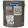 Image de Blanchon Peinture sol couleur 2,5L - Gris Clair BLANCHON