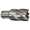 Image de Fraises pour perceuse magnÃ©tique MAKITA HB500 (Longueur 30mm)