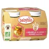 Image de Babybio Petits Pots Mirabelle Et Pomme 2x130g