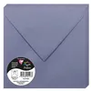 Image de Pollen Enveloppe 120g 165x165 myosotis pqt 20