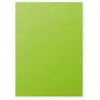 Image de Clairefontaine Etui De 50 Feuilles 210x297 Vert Menthe 120g