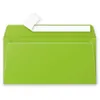 Image de Paquet de 20 enveloppes Pollen 110x220mm DL Vert Menthe 120g