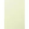 Image de Etui de 25 feuilles Pollen A4 Vert Bourgeon 210g