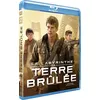 Image de Le Labyrinthe La terre brûlée Blu-ray