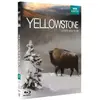 Image de Yellowstone, la lutte pour la vie Blu-ray